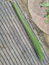 팜모닝 기타작물·병해충상담 게시글 이미지