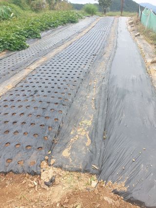 정옥성님의 자유주제 · 자유게시판 작성글 사진