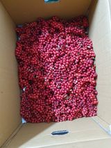 팜모닝 기타작물·영농일지 게시글 이미지