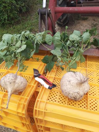 유석범님의 작성글 사진