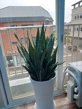 팜모닝 ↑ 윷놀이 하고 추석덕담 하기·참여글 게시글 이미지