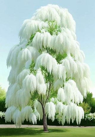 팜모닝회원 김광수님의 ↑ 윷놀이 하고 추석덕담 하기 · 참여글 작성글 사진