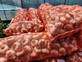 김성원님의 작성글 사진