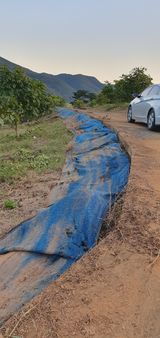 팜모닝 기타작물·영농일지 게시글 이미지