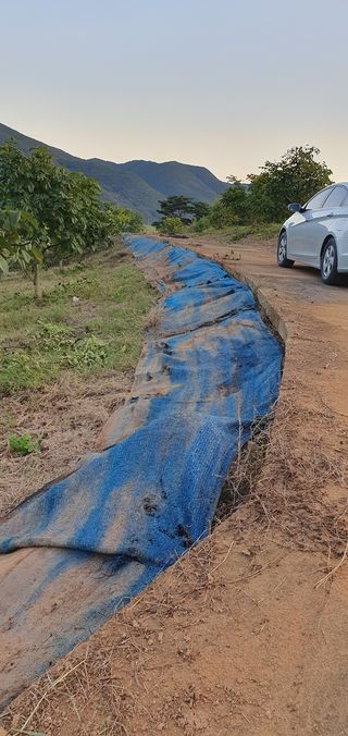 까치샘님의 기타작물 · 영농일지 작성글 사진