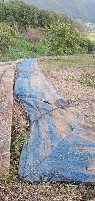 까치샘님의 기타작물 · 영농일지 작성글 사진