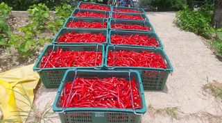 이민정님의 콩 · 자유게시판 작성글 사진