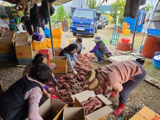 장기수님의 ↑ 윷놀이 하고 추석덕담 하기 · 참여글 작성글 사진