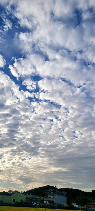 행복농장님의 고구마 · 자유게시판 작성글 사진