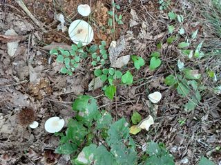 그래서님의 자유주제 · 자유게시판 작성글 사진