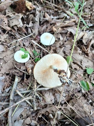 그래서님의 자유주제 · 자유게시판 작성글 사진