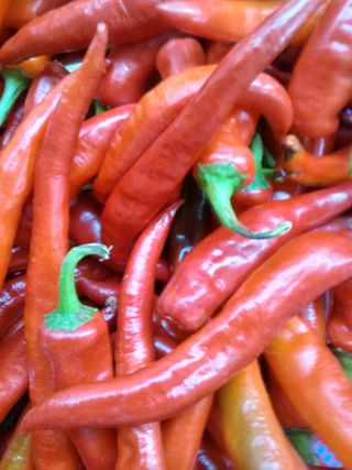 조갑선님의 귤 · 일상 작성글 사진