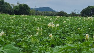 오정현님의 기타작물 · 자유게시판 작성글 사진