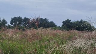 오정현님의 기타작물 · 자유게시판 작성글 사진