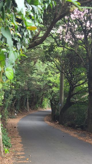 오정현님의 기타작물 · 자유게시판 작성글 사진