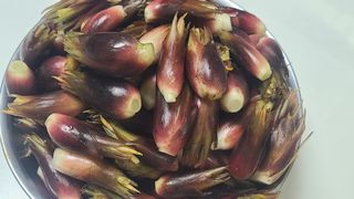 오정현님의 기타작물 · 자유게시판 작성글 사진