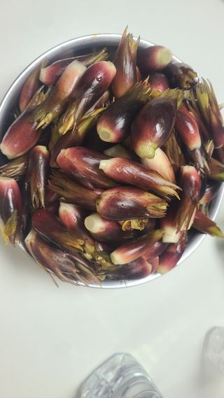 오정현님의 기타작물 · 자유게시판 작성글 사진