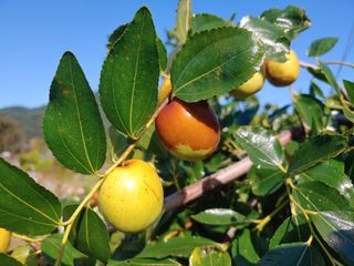 천승준님의 자유주제 · 자유게시판 작성글 사진