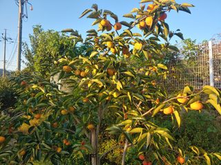 천승준님의 자유주제 · 자유게시판 작성글 사진