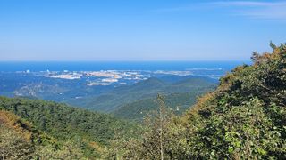 미송님의 ↑ 윷놀이 하고 추석덕담 하기 · 참여글 작성글 사진