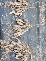 팜모닝 · 게시글 이미지