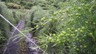 이창신님의 작성글 사진