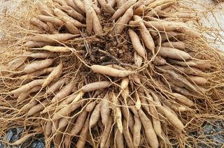 이창신님의 작성글 사진