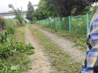 박재석님의 작성글 사진