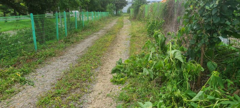 박재석님의 장터 판매 상품 [예초기 시동이 잘안걸리는데 고장원인 찾기쉽지않네요 한참] 첨부 사진