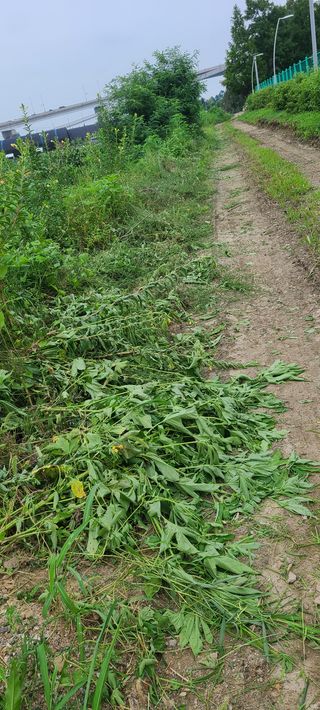 박재석님의 작성글 사진