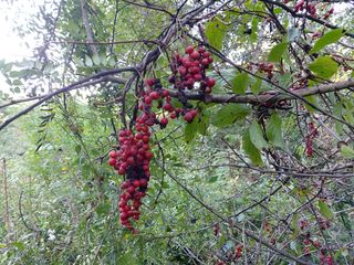 강미화님의 기타작물 · 자유게시판 작성글 사진