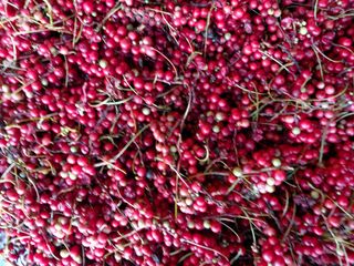 강미화님의 기타작물 · 자유게시판 작성글 사진