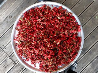 강미화님의 기타작물 · 자유게시판 작성글 사진