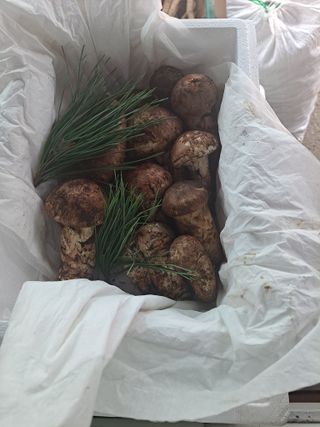 백작약님의 작성글 사진