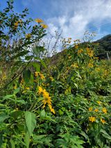 팜모닝 자유주제·자유게시판 게시글 이미지