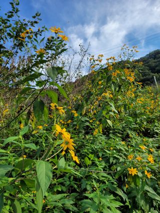 박산숙농부님의 자유주제 · 자유게시판 작성글 사진