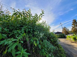 박산숙농부님의 자유주제 · 자유게시판 작성글 사진