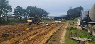 정운필님의 고구마 · 영농일지 작성글 사진