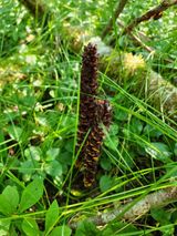 팜모닝 ↑ 윷놀이 하고 추석덕담 하기·참여글 게시글 이미지