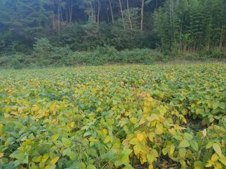 엘림농장님의 10월 농사 성적 자랑하기 · 참여글 작성글 사진