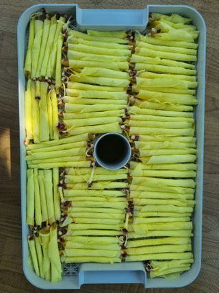 슈퍼맨님의 10월 농사 성적 자랑하기 · 참여글 작성글 사진