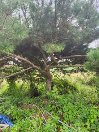 김영복 19146님의 10월 농사 성적 자랑하기 · 참여글 작성글 사진