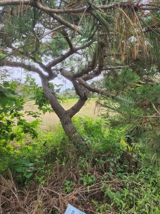 김영복 19146님의 10월 농사 성적 자랑하기 · 참여글 작성글 사진