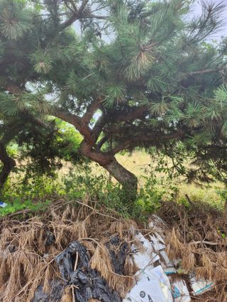 김영복 19146님의 10월 농사 성적 자랑하기 · 참여글 작성글 사진