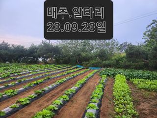 김영복 19146님의 10월 농사 성적 자랑하기 · 참여글 작성글 사진