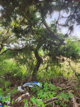 김영복 19146님의 10월 농사 성적 자랑하기 · 참여글 작성글 사진