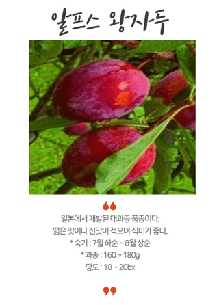 일심묘목농원님의 작성글 사진