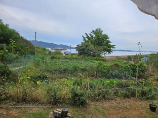 강화 산.해.감국님의 고구마 · 영농일지 작성글 사진