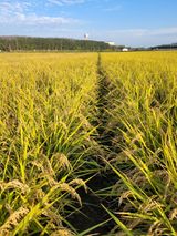 팜모닝 10월 농사 성적 자랑하기·참여글 게시글 이미지