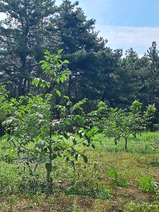 정환본님의 10월 농사 성적 자랑하기 · 참여글 작성글 사진